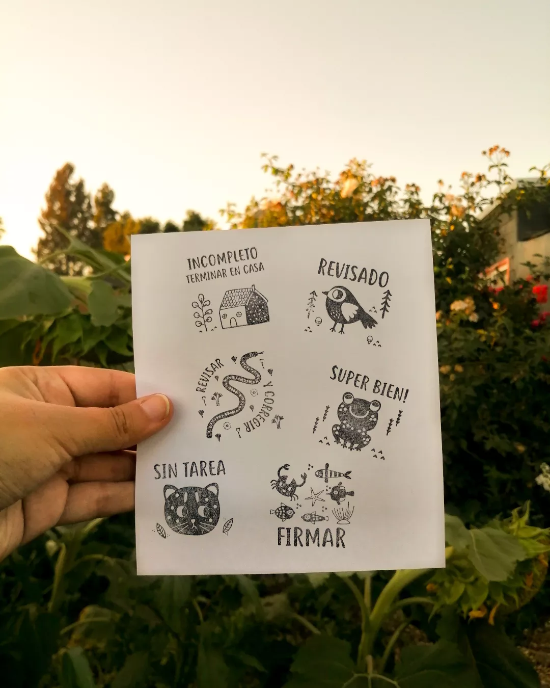 Kit Profesores Infantil x @pajaritodemimbre