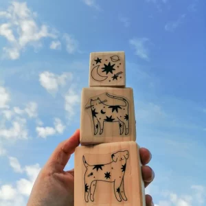 Kit Estelar x @daniramita