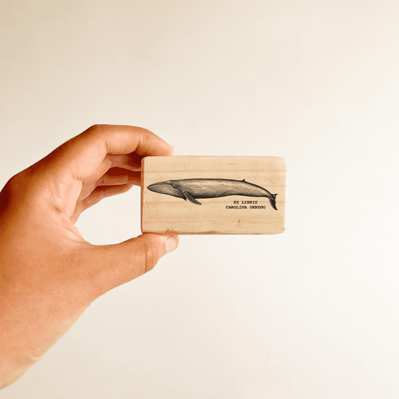 Ex libris · Ballena