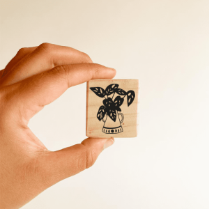 Timbre · Adansonii Florero