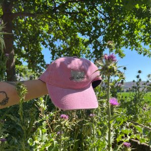 Jockey Bordado Michi 🐱